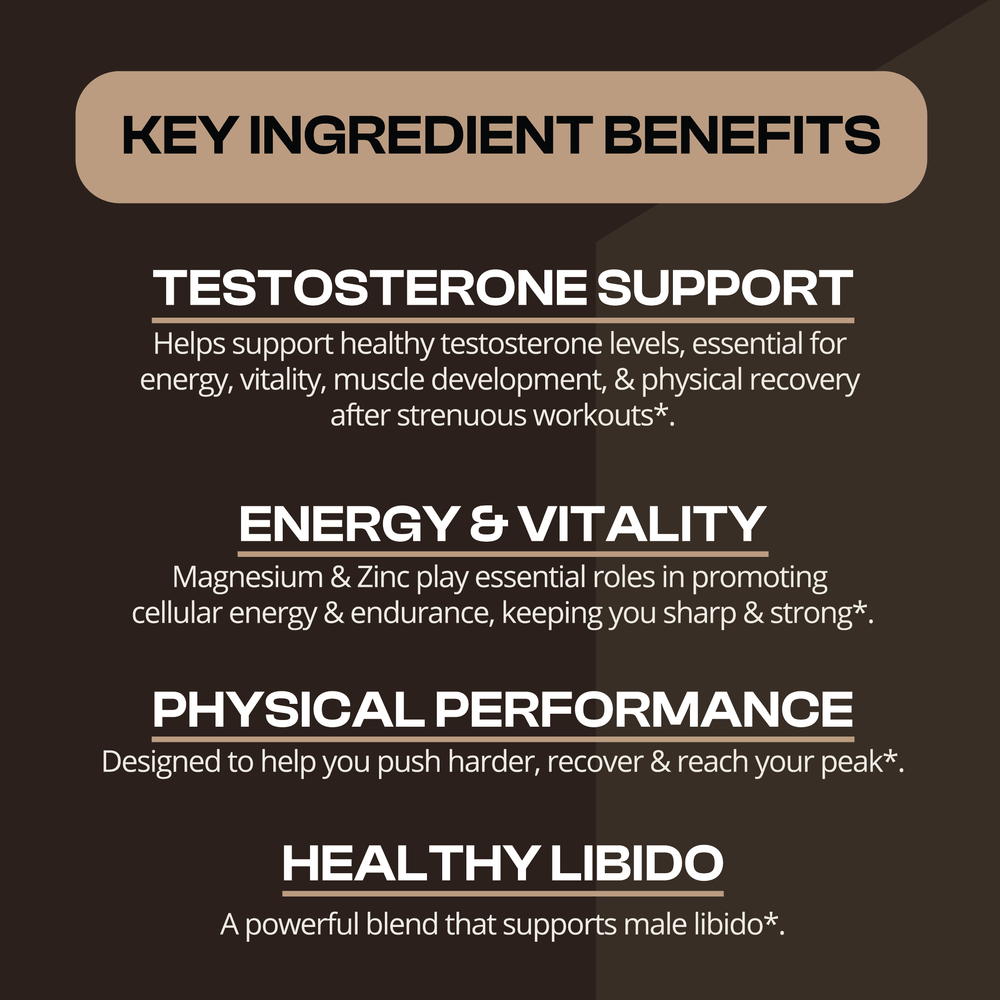 
                      
                        Prime Performance T-Support
                      
                    