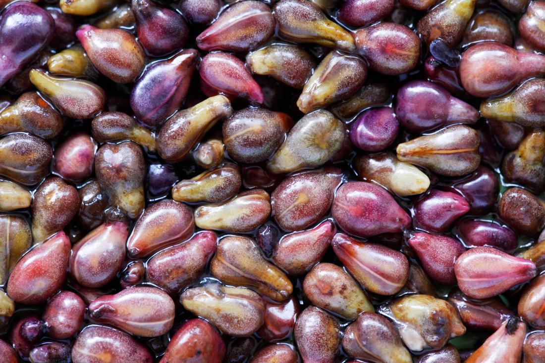 Grape Seed Extract